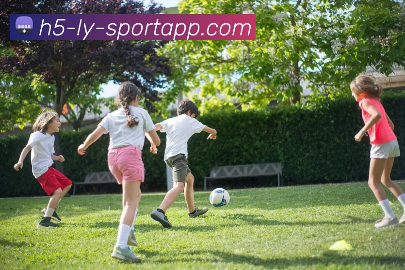 App Interface Preview